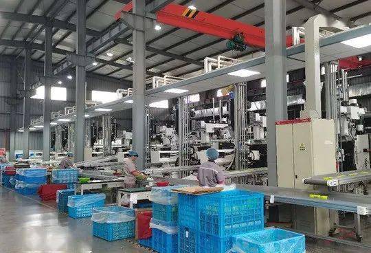 双马塑业掌舵人陈翠虹 将企业打造成国内功能型塑料厨房家居用品的龙头